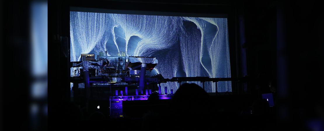 E-Waves Music Festival